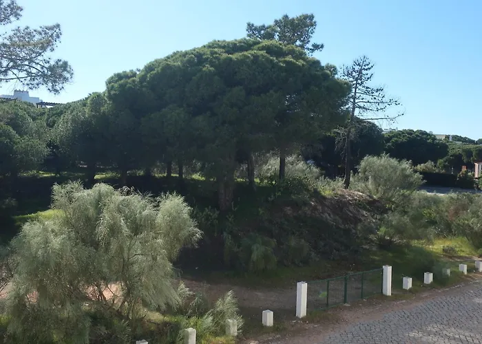 Casa Bambu, Paraiso Na Terra Hébergement de vacances *
